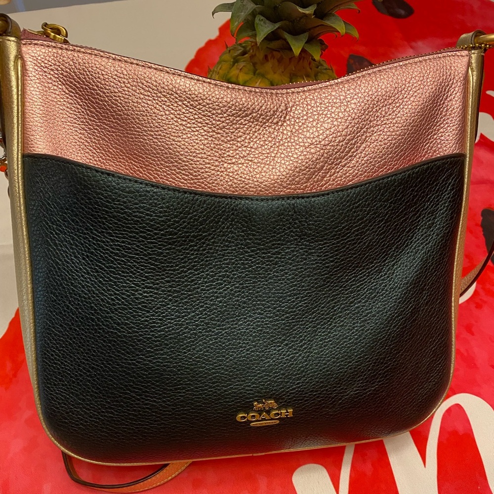 COACH crossbody ( used)